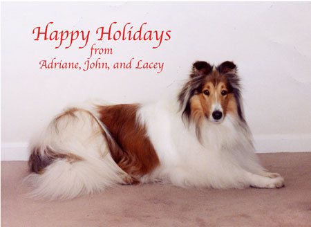 Happy Holidays from Lacey