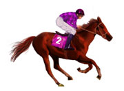 Racehorse and Jockey